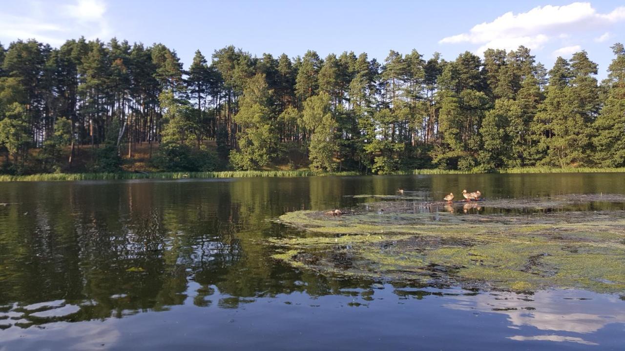 Osrodek Wypoczynkowy Soszko Villa สวอร์เนกาเชีย ภายนอก รูปภาพ
